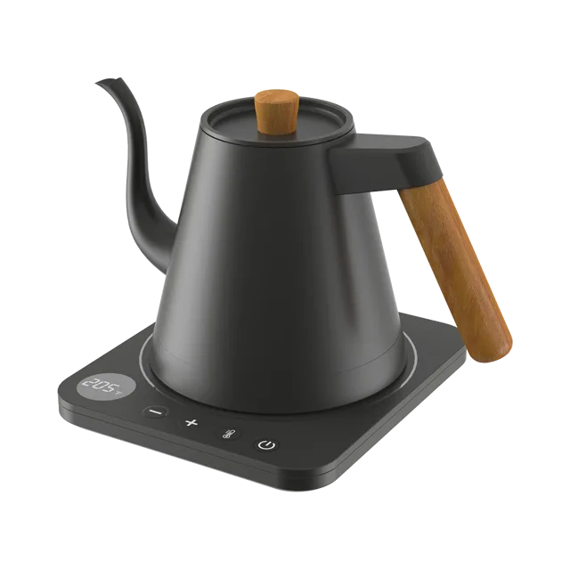 Gooseneck Kettle