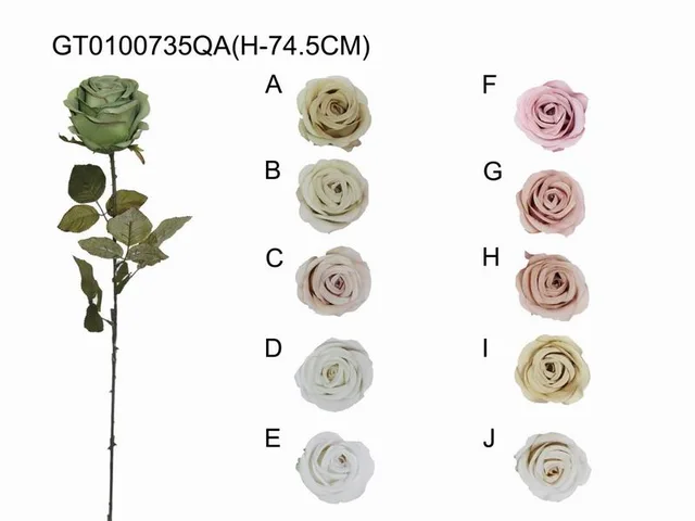 Single rose(autumn)