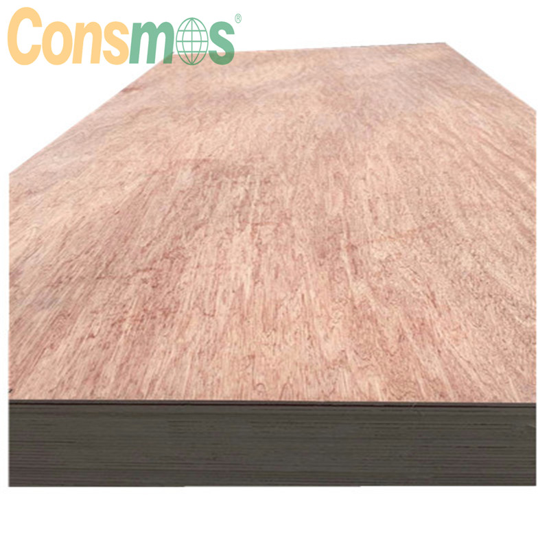 Consmos bintangor plywood
