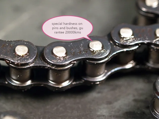 Motorcycle chain 428