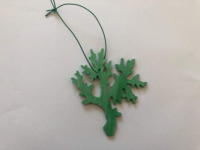 Wooden coralal