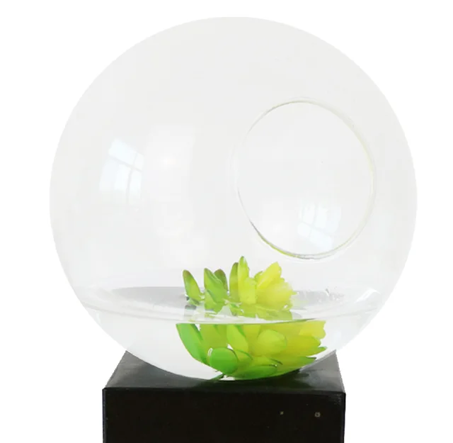 Marble glass hydroponic
