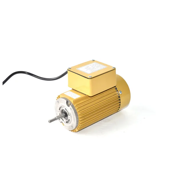 Small single phase ac pump motor