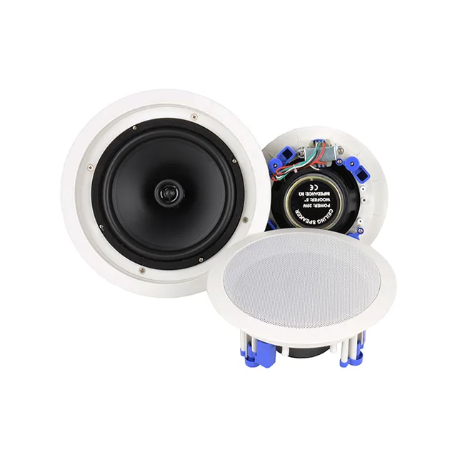 Outdoor ceiling speaker