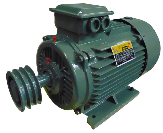Qsuper Y Series Elector Motor