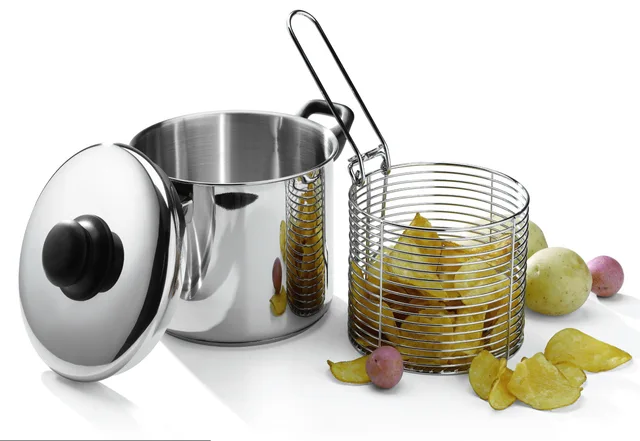 Stainless steel Deep fryer