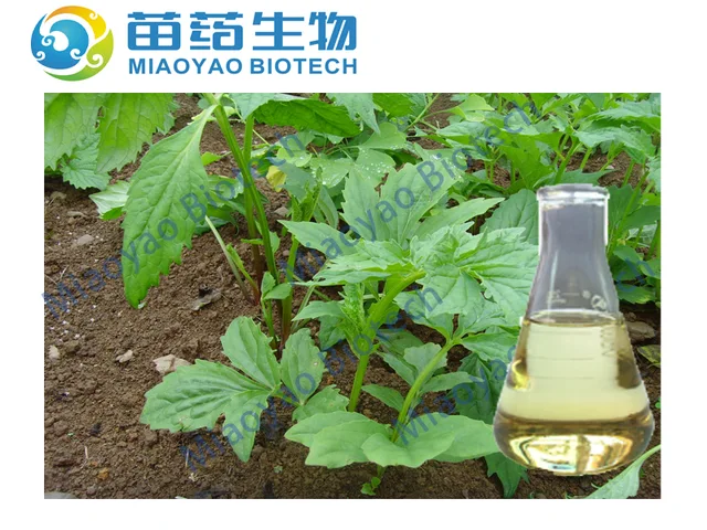 Valerian Oil