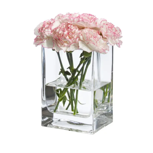 High quality fish tank clear square tall glass vases for desktop placement