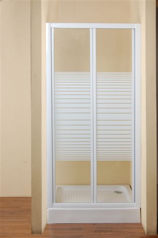 Shower door