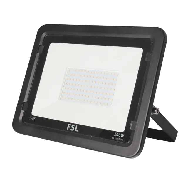 LED Flood Light
