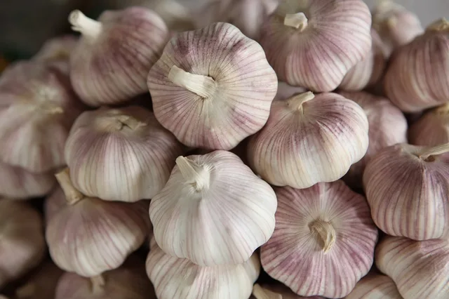 Fresh Garlics