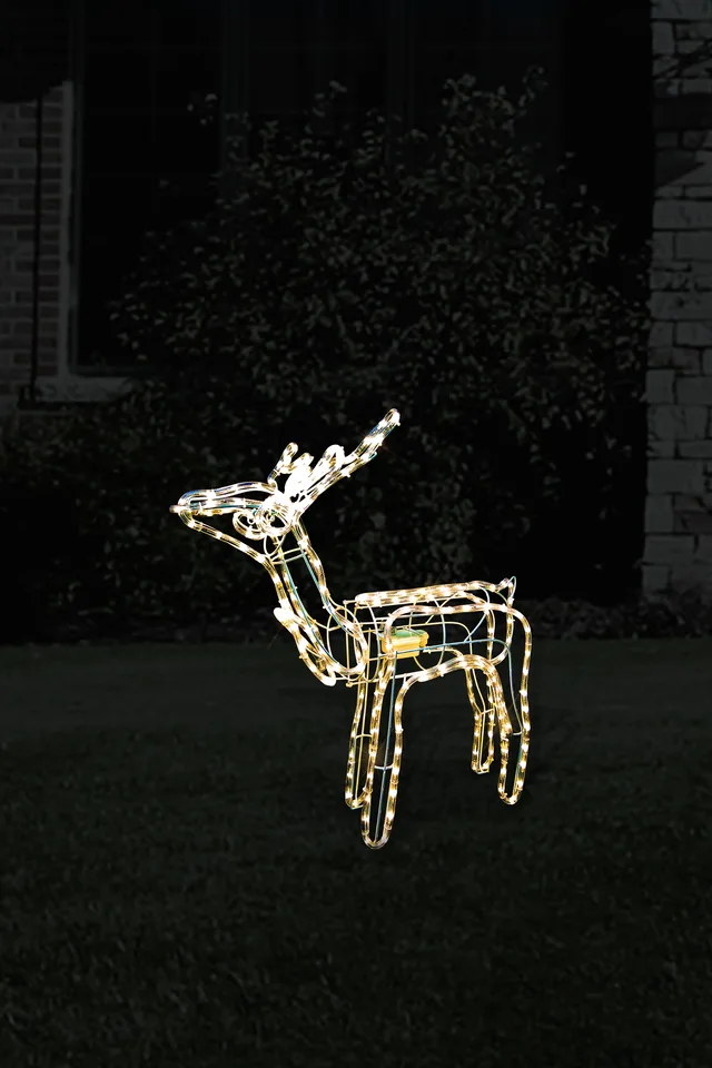 Standing Reindeer