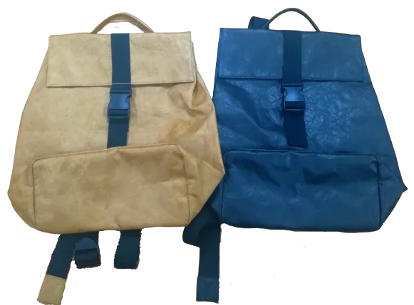 Tyvek bag
