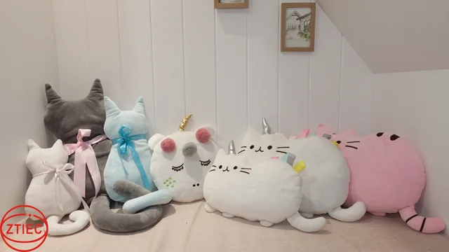 Cushion