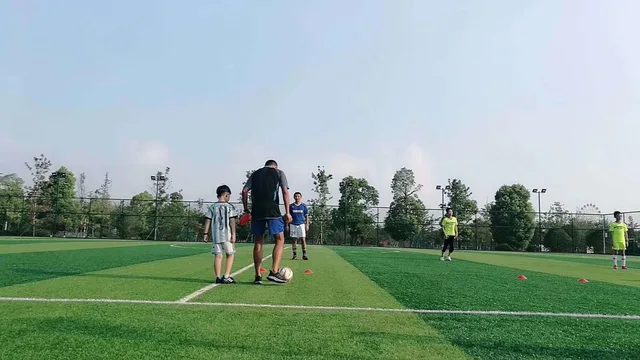 Artificial Turf