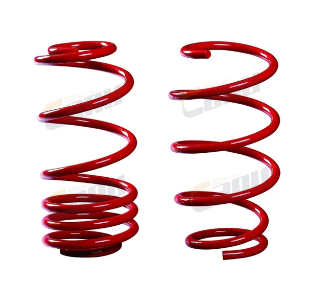 Racing car spring