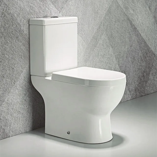 Two piece washdown toilet