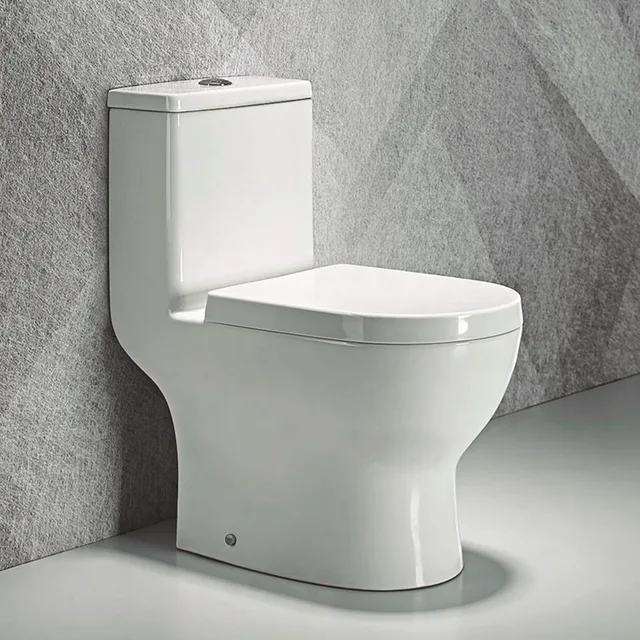 Washdown One Piece Toilet