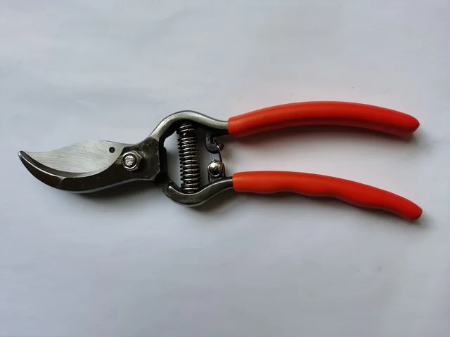 Drop Forged Pruner