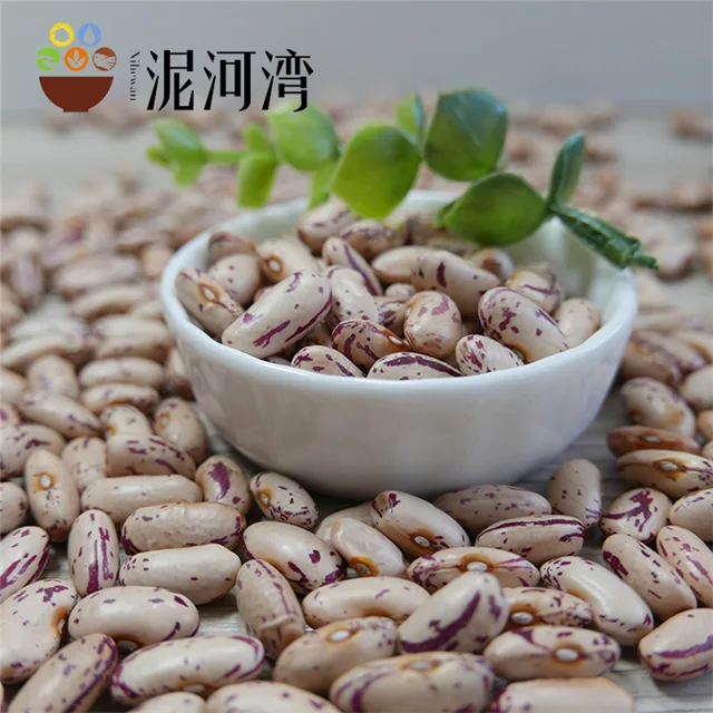 Light Speckled Kidney Bean