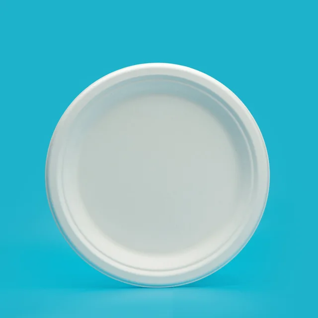 9" round plate
