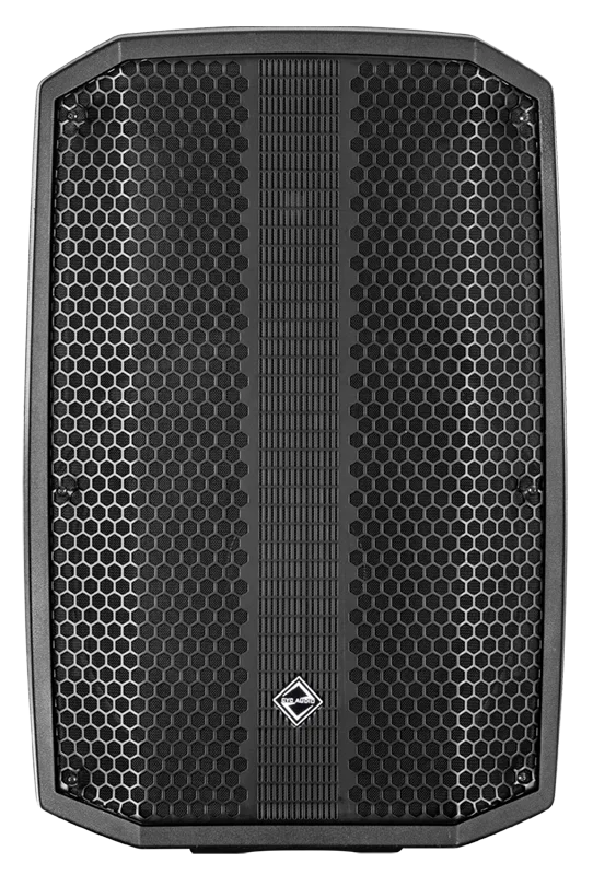11inch big power proaudio
