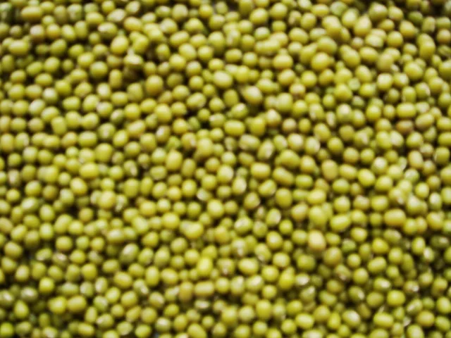 Green Beans Mung Beans