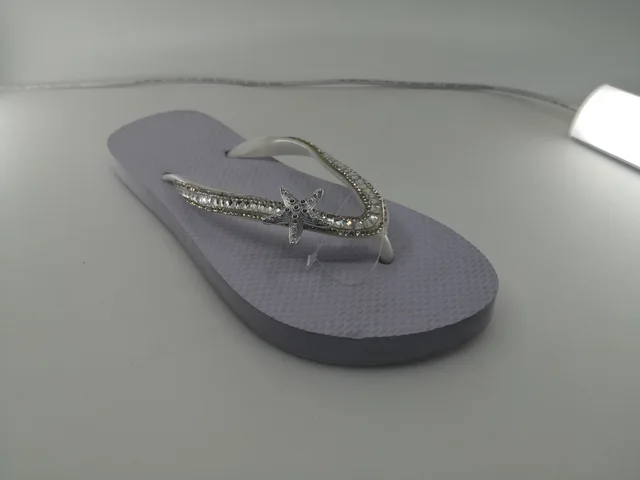 Flip Flop