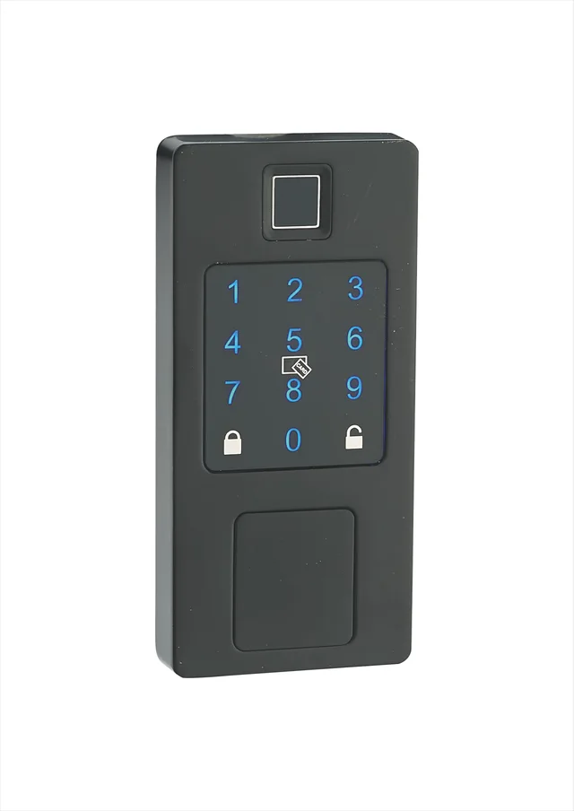 Smart Lock 2021