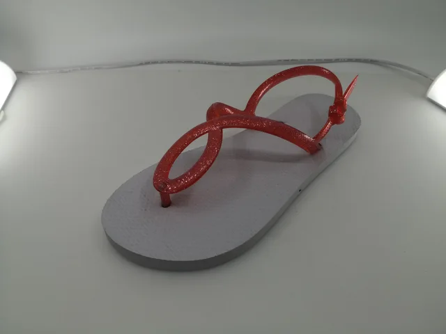Flip Flop