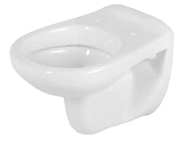 Wall hung toilet