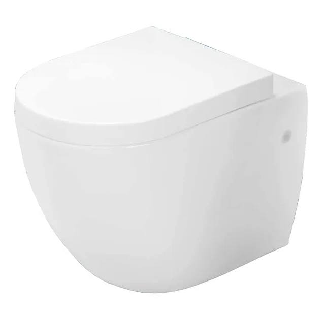 Wall hung toilet