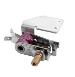 Adjustable thermostat