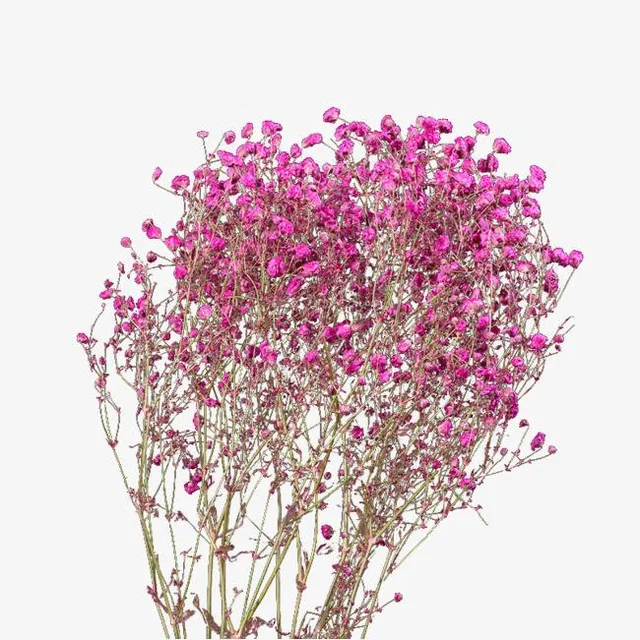Dried flower adornment