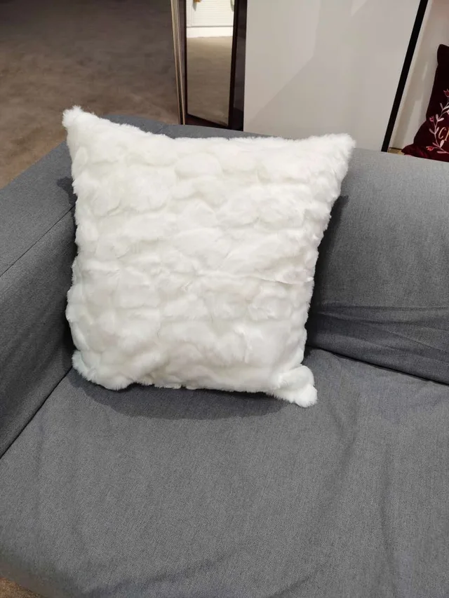 Acrylic pillow