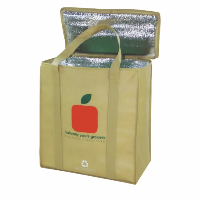 ECO Cheap Promotional outdoor non-woven cooler bag