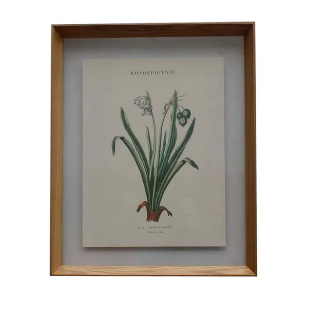 Natural oak frame with picture P538