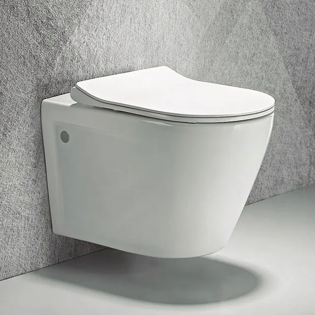 Wall hung toilet