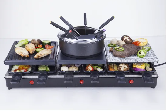 Raclette & fondue , electric fonue , Food processor