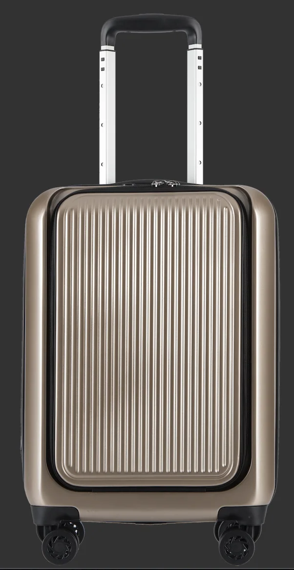 Laptop trolley case