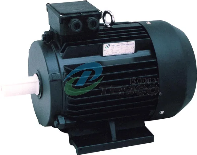 Y2 Three-Phase Induction Motor With Cast Iron Housing