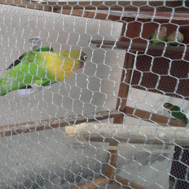 Wire Netting