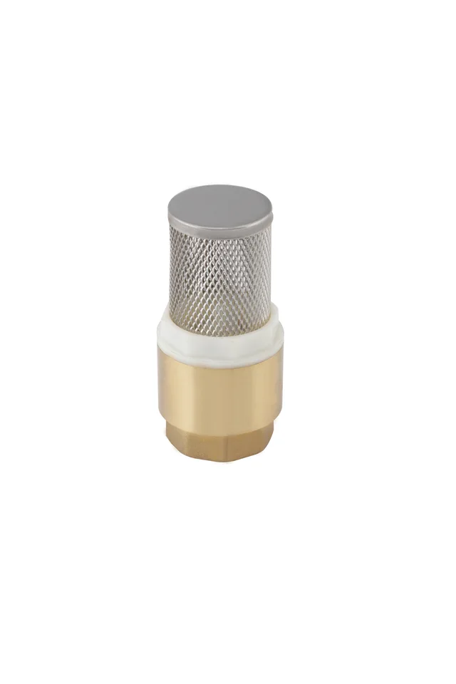 Brass check valves