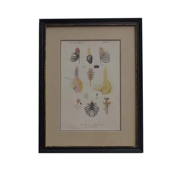 Rusty black with gold frame with picture