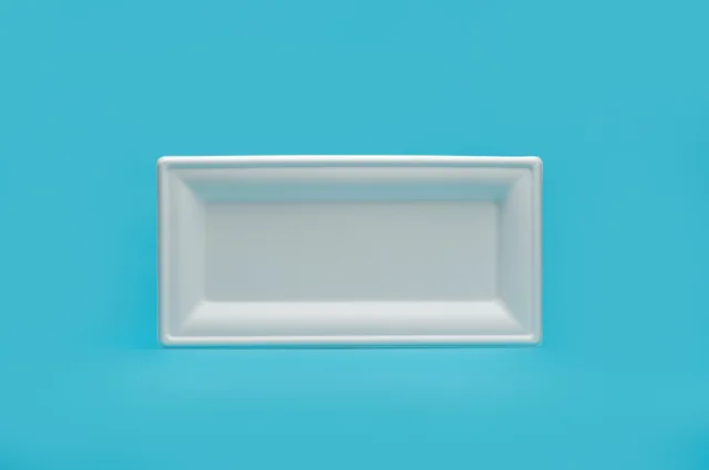 10*5 inch square plate