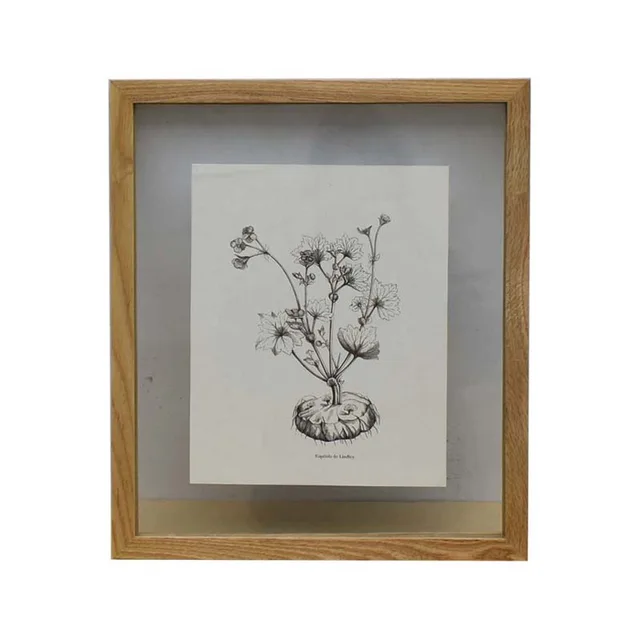 Natural oak frame with picture P970
