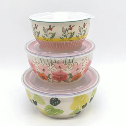 Underglazed Handpainted Colorful Ceramic Sealed Bowl Set