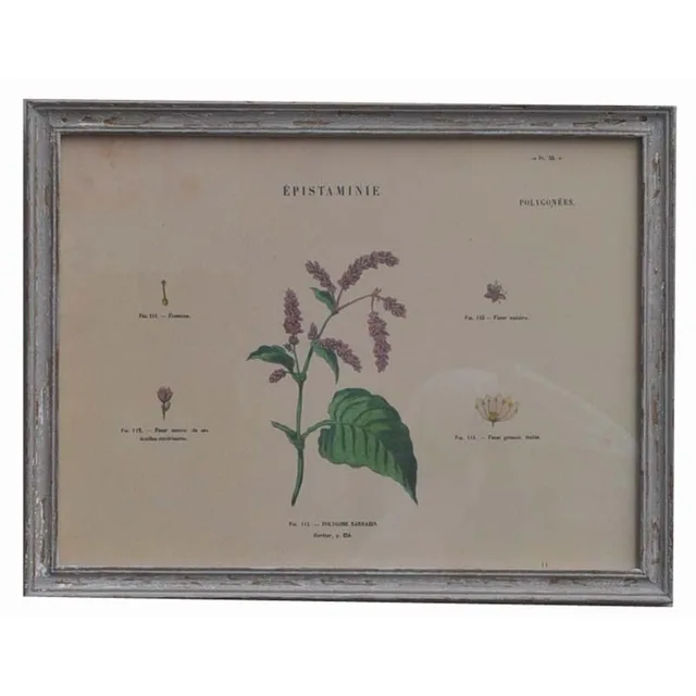 Rusty black with gold frame with picture