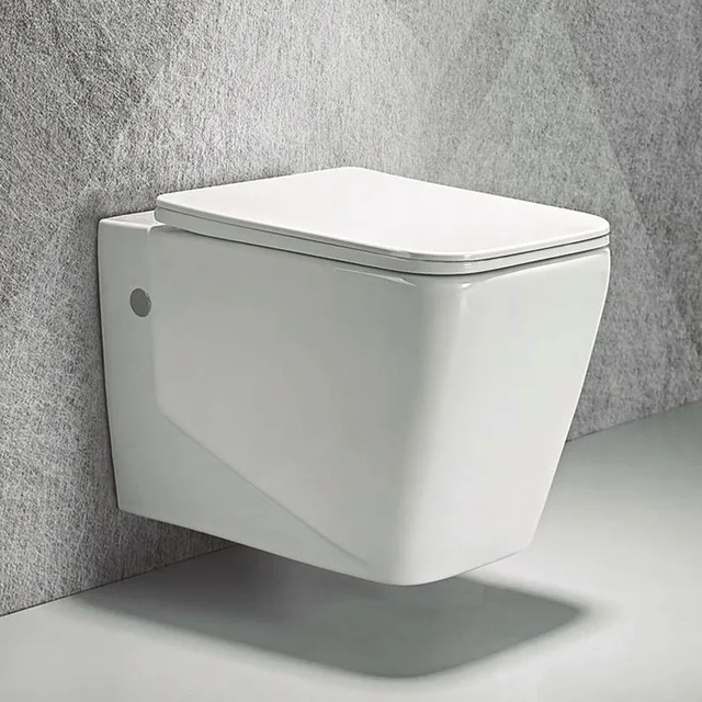 Wall hung toilet