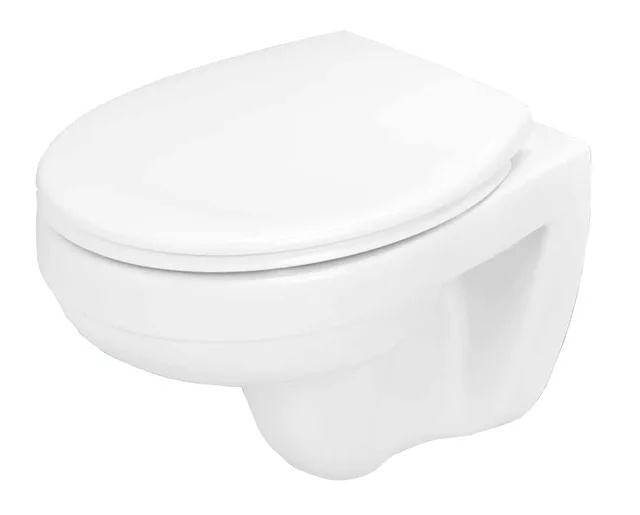 Wall hung toilet